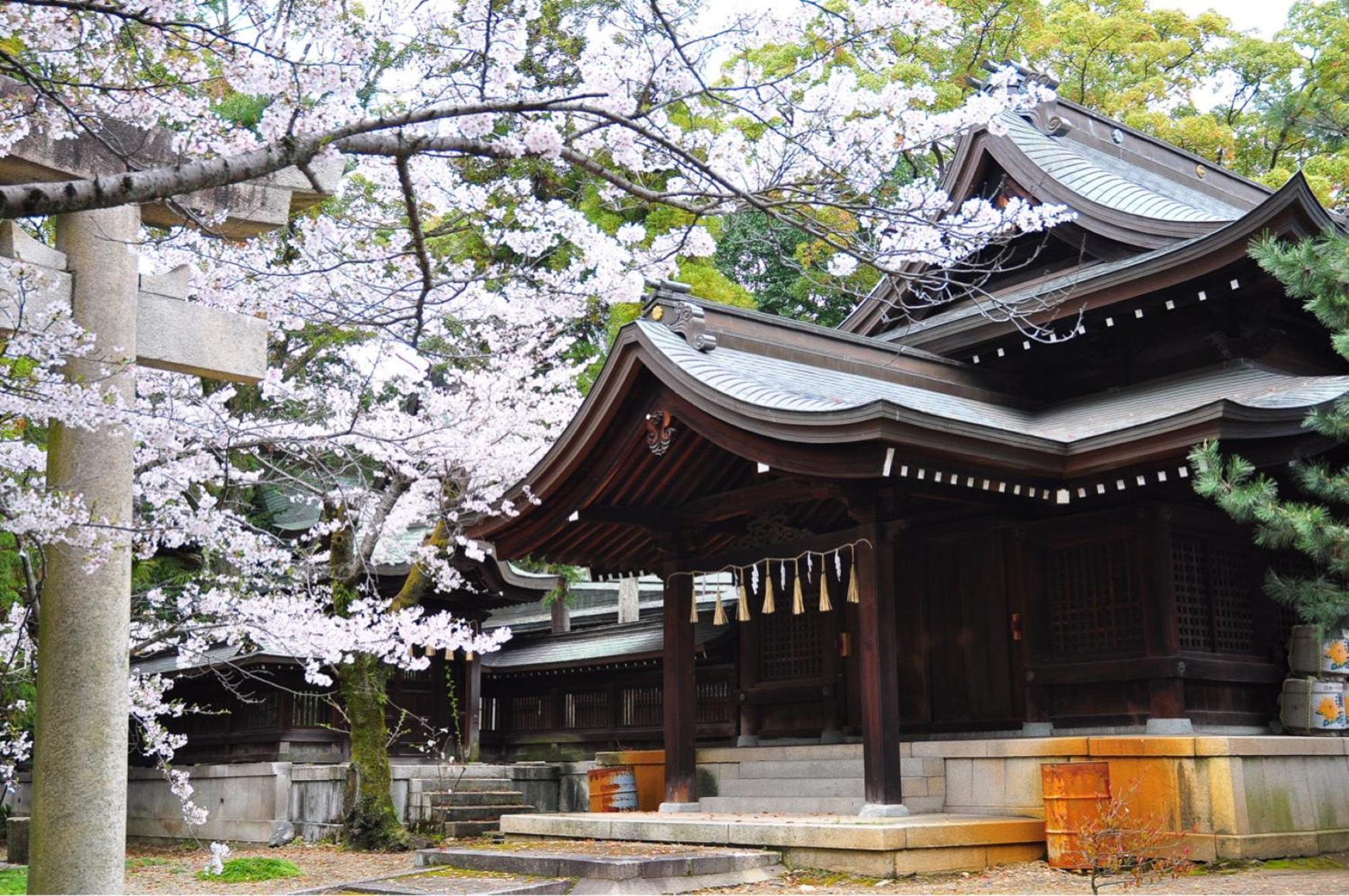 One Hostel Himeji Luaran gambar